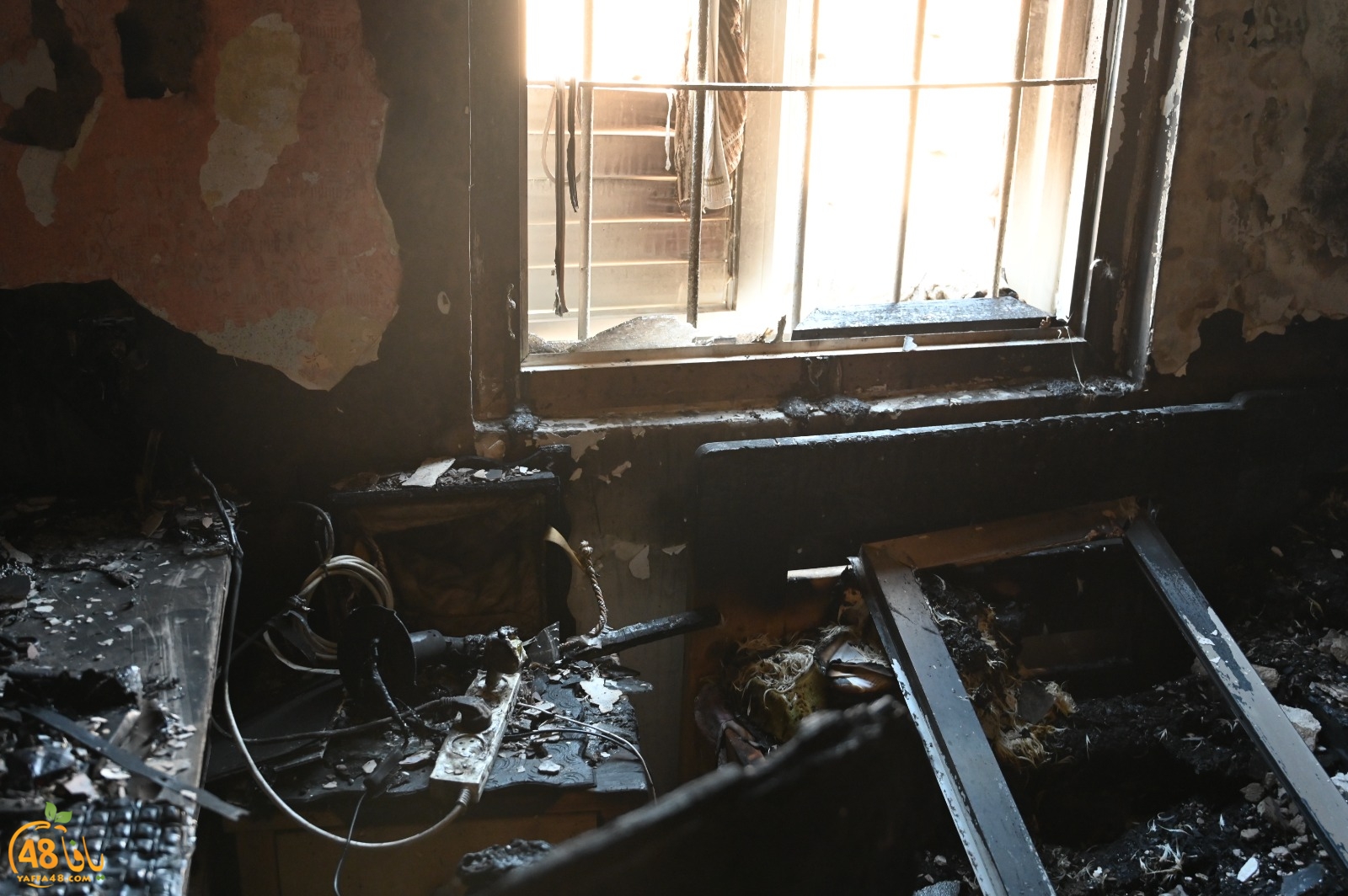 WhatsApp Image 2023-08-03 at 6.57.10 PM (1).jpg